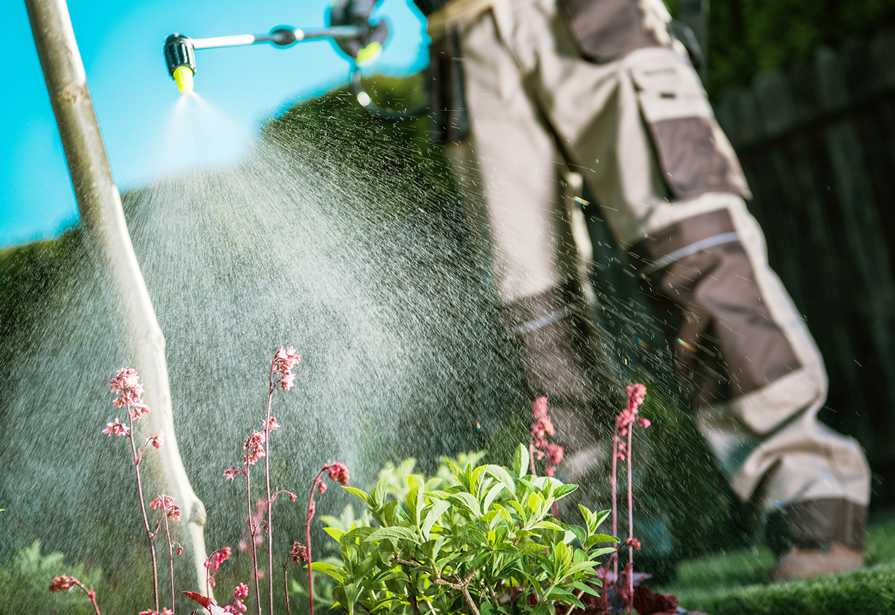 Chemicals to store kill grass